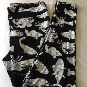 TC LuLaRoe Leggings